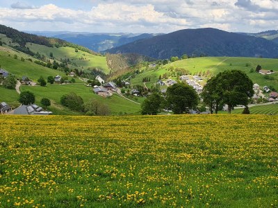 Holiday apartment Landhaus-Apartment Feldbergblick - Environment photo 39