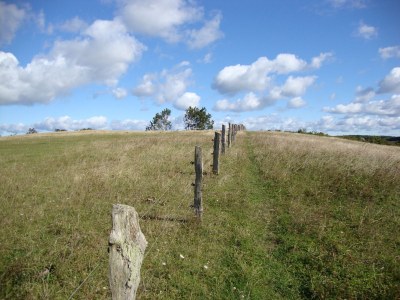 Holiday apartment Feriennest Sylvin - Outdoor photo 6