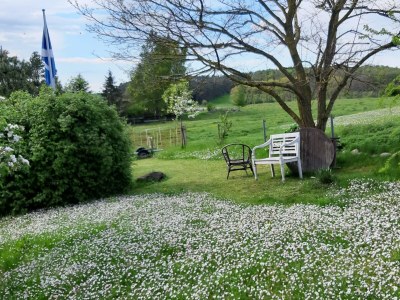 Holiday apartment Feriennest Sylvin - Outdoor photo 10