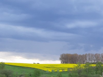 Holiday apartment Feriennest Sylvin - Outdoor photo 11