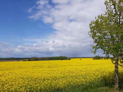 Holiday apartment Feriennest Sylvin - Environment photo 25