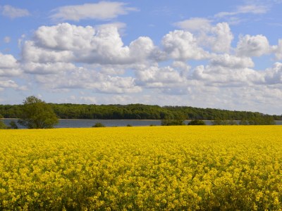 Holiday apartment Feriennest Sylvin - Environment photo 26