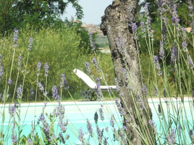 Holiday house Gem�tliches Ferienhaus mit Terrasse - Outdoor photo 28