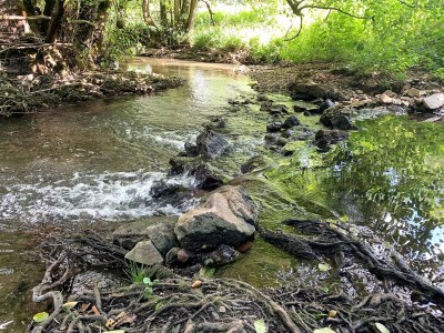 Holiday apartment Drayling - Environment photo 32