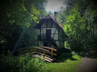 Holiday apartment Drayling - Environment photo 33