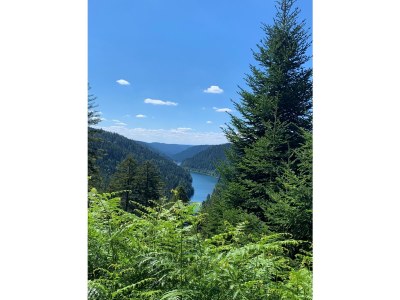 Holiday apartment Drayling - Environment photo 36