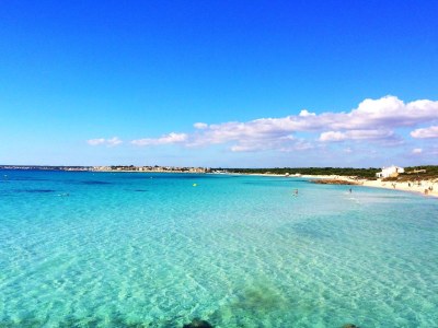 Finca Tomeu with pool and Wi-Fi - Environment photo 19