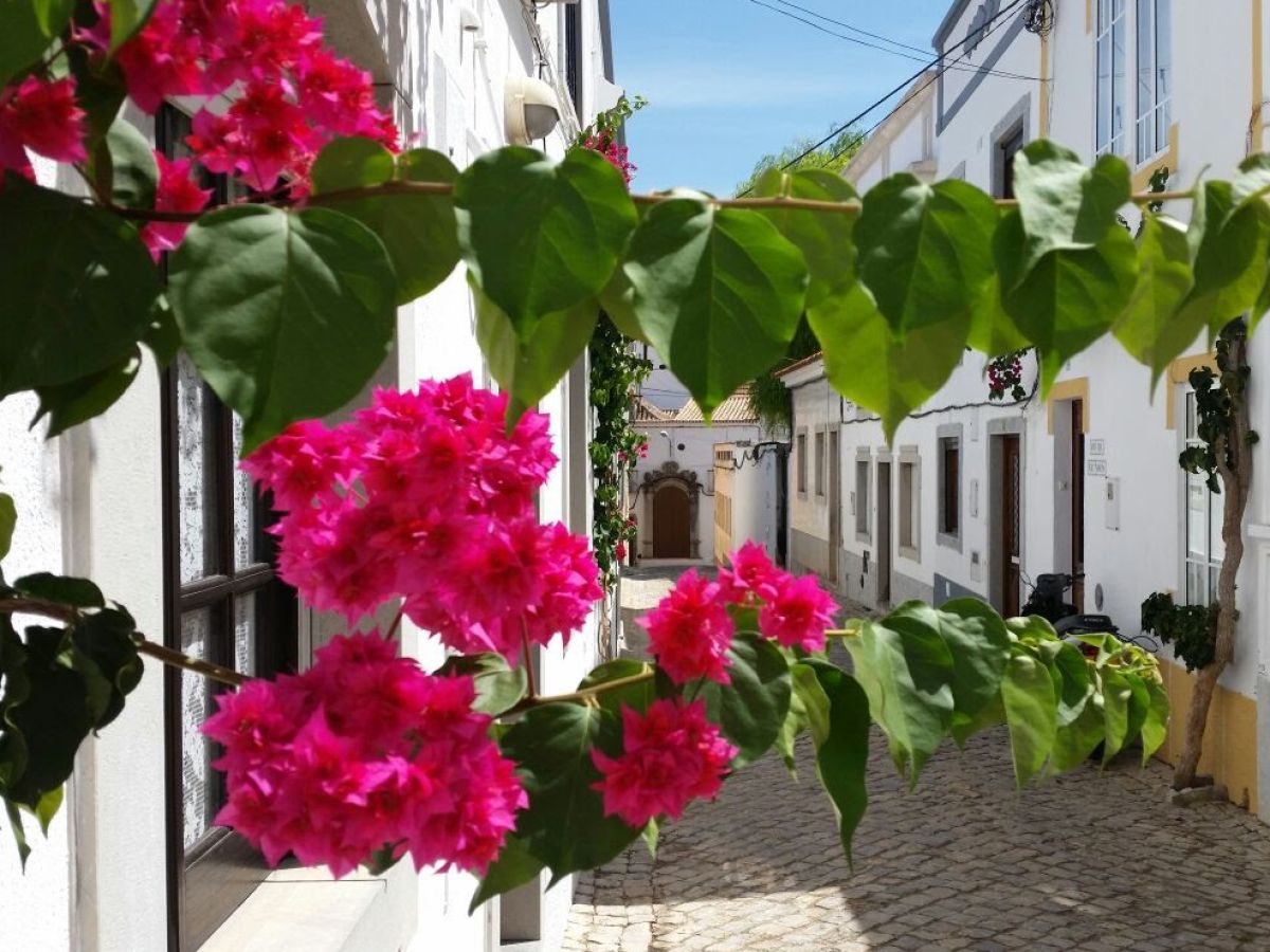 Holiday house Laluleva - Outdoor photo 2