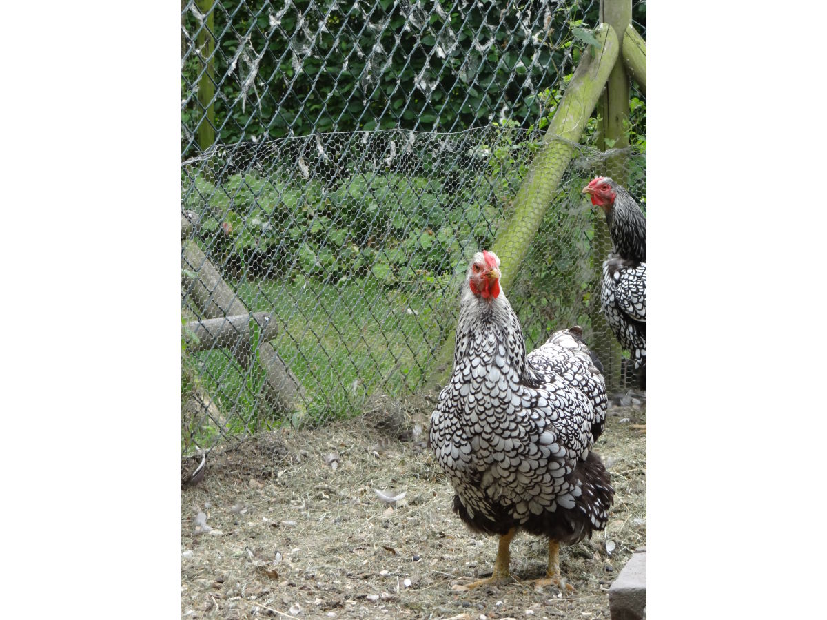 Holiday apartment For 2-3 people - Outdoor photo 4