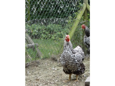 Holiday apartment For 2-3 people - Outdoor photo 4