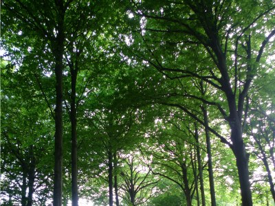 Holiday apartment For 2-3 people - Environment photo 14