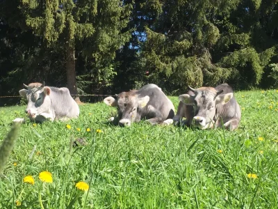 Holiday apartment Flo - Outdoor photo 10