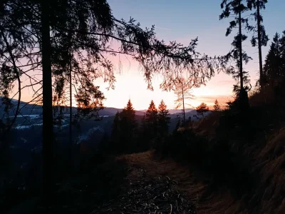 Holiday apartment Flo - Outdoor photo 11