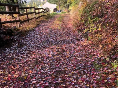 Holiday apartment Flo - Outdoor photo 13