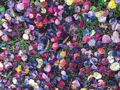 Holiday apartment Flo - Outdoor photo 14