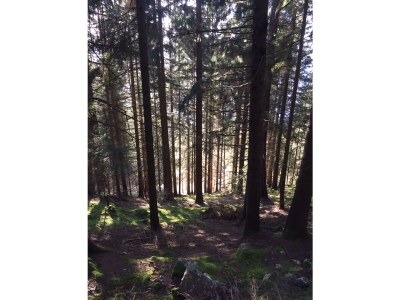 Holiday apartment Flo - Environment photo 28