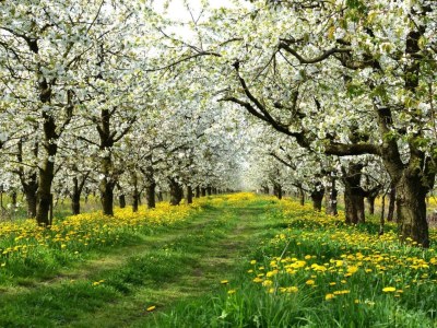 Holiday house Nordseeschloss - Environment photo 34