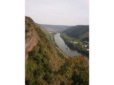 Holiday house Mosel view Cochem - Environment photo 17