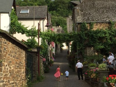 Holiday house Mosel view Cochem - Environment photo 18