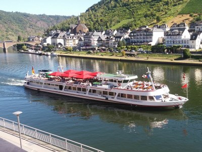 Holiday house Mosel view Cochem - Environment photo 19
