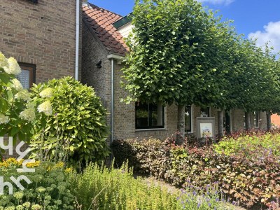 Holiday apartment Holiday apartment Oostkapelle - ZE049 - Environment photo 19