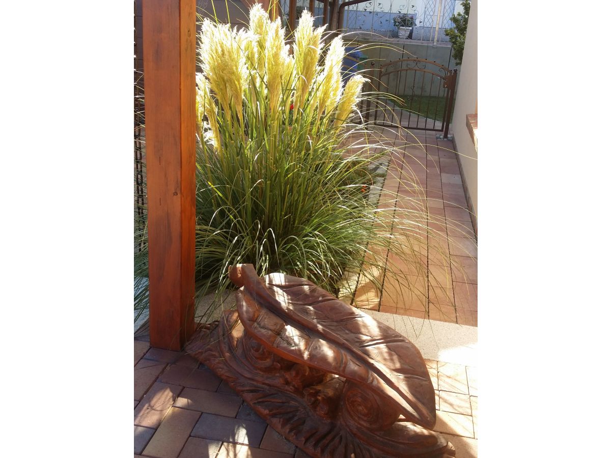 Holiday apartment Jahns - Outdoor photo 4