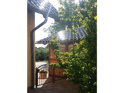 Holiday apartment Jahns - Outdoor photo 2