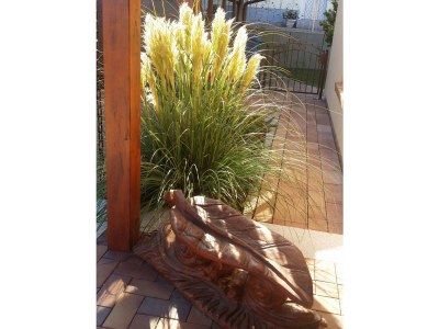 Holiday apartment Jahns - Outdoor photo 4