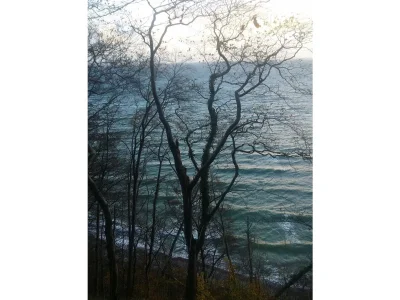 Holiday apartment Jahns - Outdoor photo 5