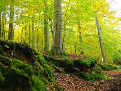 Holiday apartment Jahns - Environment photo 17