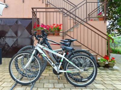 Holiday apartment Ideal to relax - Outdoor photo 6