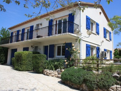 Villa Le Palmier in Lespignan - Villa