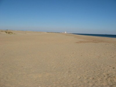 Villa Le Palmier - Environment photo 27