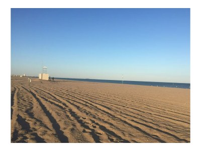 Villa Le Palmier - Environment photo 28