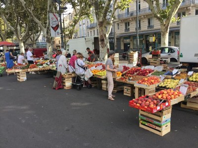 Villa Le Palmier - Environment photo 29