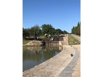 Villa Le Palmier - Environment photo 30