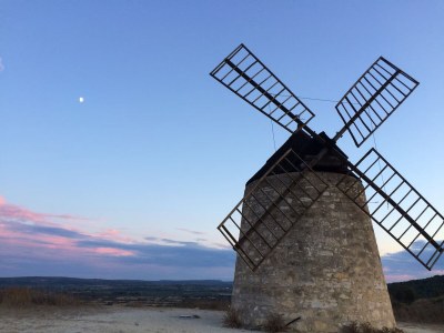 Villa Le Palmier - Environment photo 31