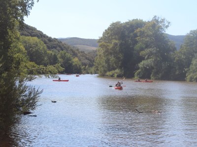 Villa Le Palmier - Environment photo 35