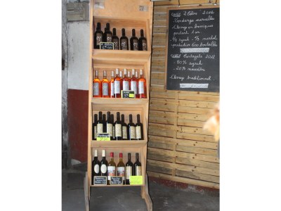 Villa Le Palmier - Environment photo 36