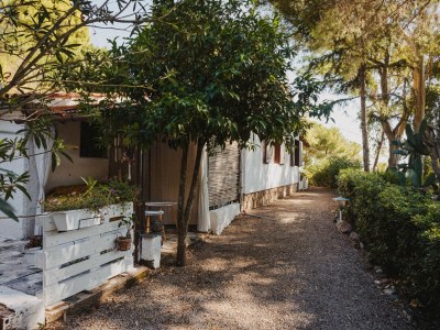 Holiday house Sunny Garden - Outdoor photo 5