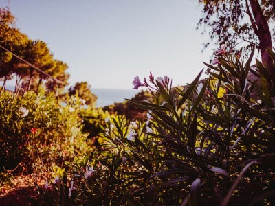 Holiday house Sunny Garden - Outdoor photo 8