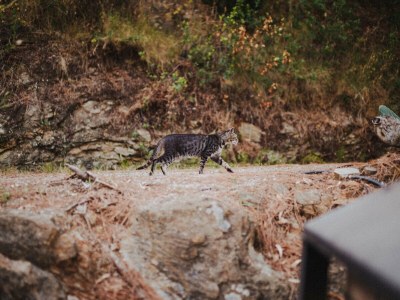 Holiday house Sunny Garden - Outdoor photo 9