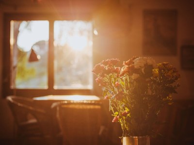 Holiday house Sunny Garden - Features photo 20