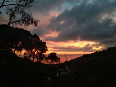 Holiday house Sunny Garden - Environment photo 28