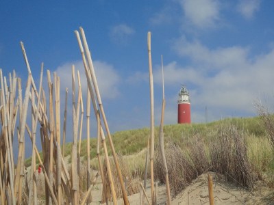 Holiday house Paal 774 Villapark Residentie Texel - Environment photo 20