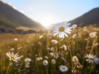 Holiday apartment Renate - Environment photo 32