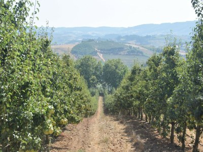 Villa Villa in Casais de Santa Helena - Environment photo 36