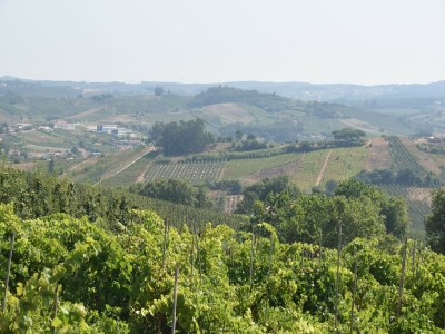 Villa Villa in Casais de Santa Helena - Environment photo 37