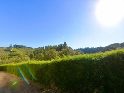 Villa Villa in Casais de Santa Helena - Environment photo 39