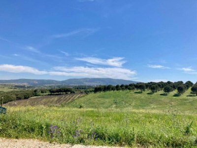 Villa Villa in Casais de Santa Helena - Environment photo 40